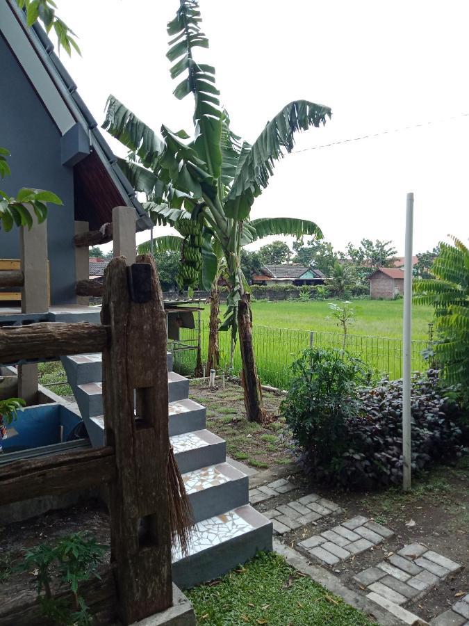 Joglopari Guesthouse Room 2 Bukan Untuk Pasangan Non Pasutri Cepit Экстерьер фото